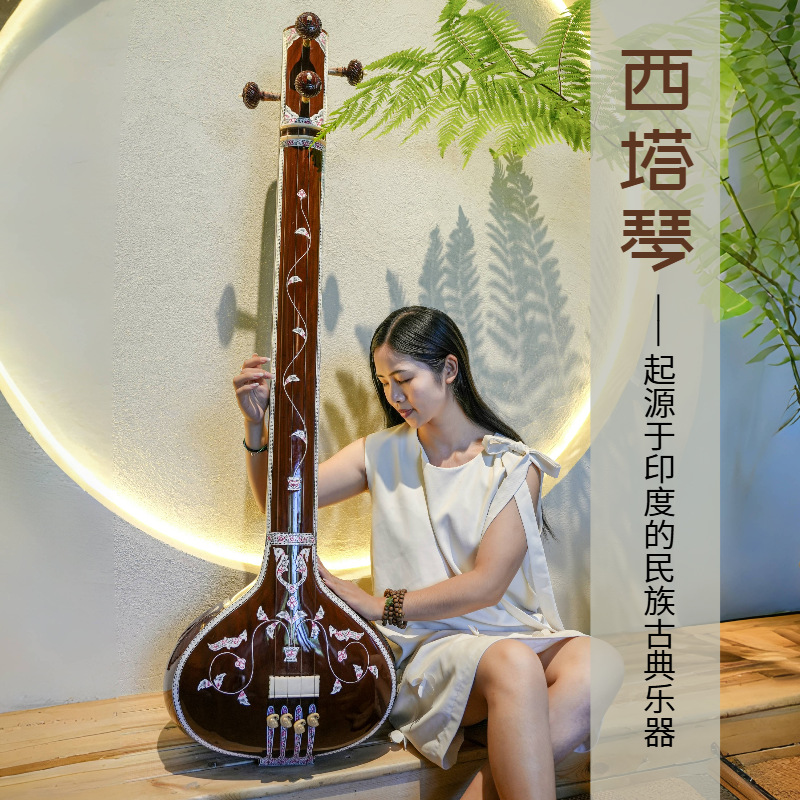 Handmade Sitar National Musica - Musical Instrument Sitar 评论和价格