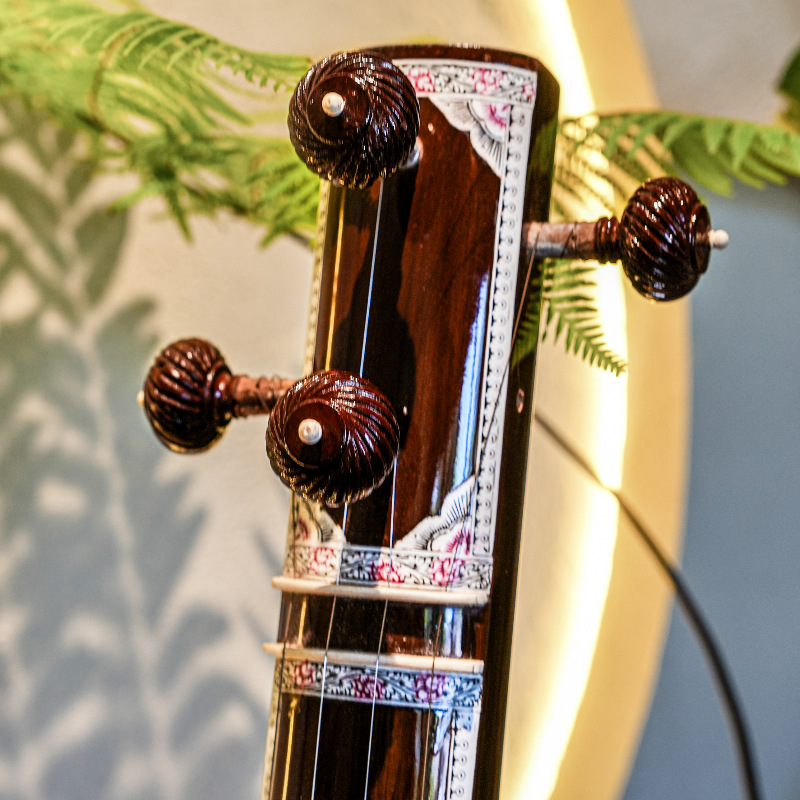 Handmade Sitar National Musica - Musical Instrument Sitar 评论和价格
