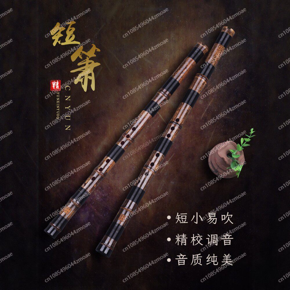 Professional play hole flute o - Musical Instrument Blow 评论和价格