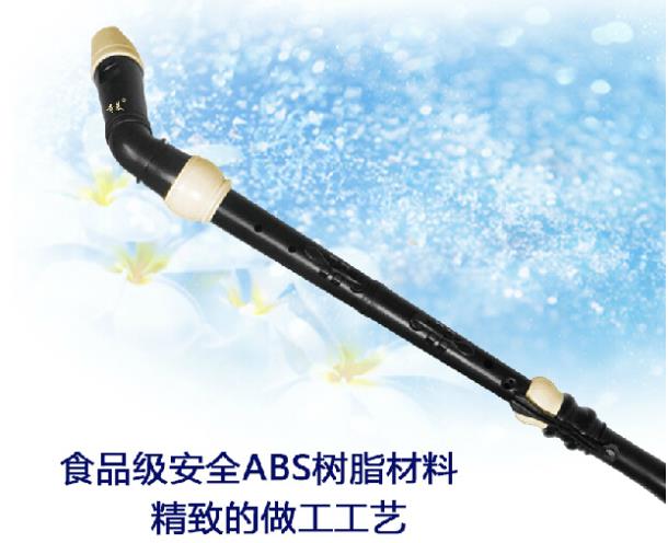 Professional 8 Holes Baroque B - Musical Instrument In Chinese 评论和价格