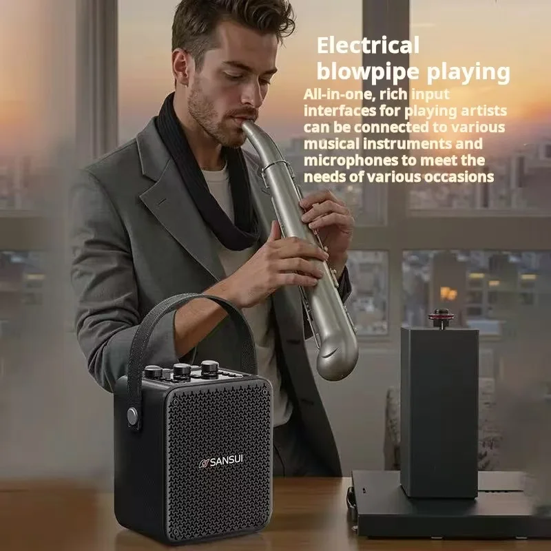 SANSUI T81 Portable Wireless B - Musical Instrument Video 评论和价格