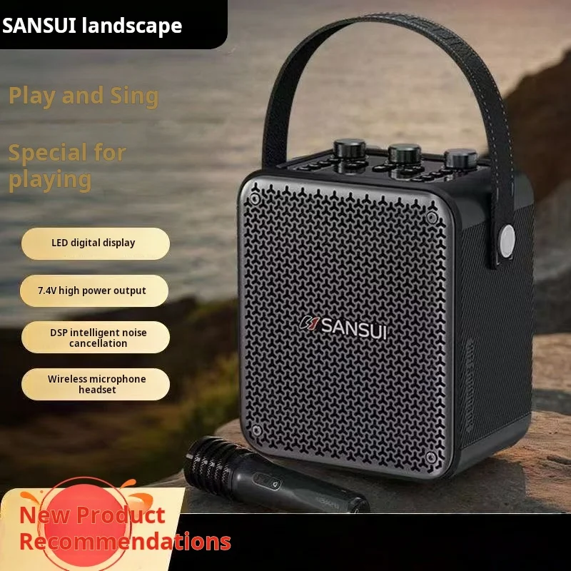 SANSUI T81 Portable Wireless B - Musical Instrument Video 评论和价格